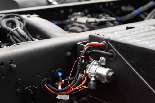 A Local Team with Deep Roots in Lexington