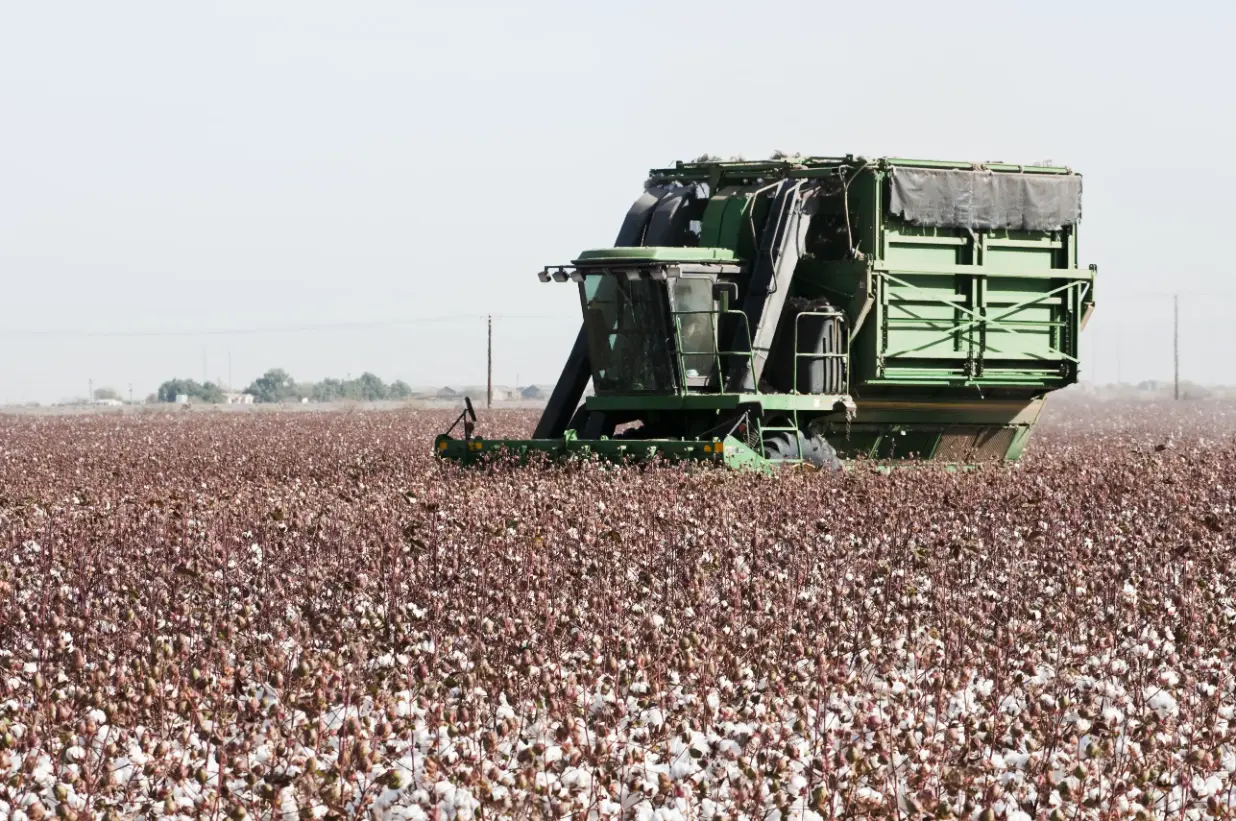 Post Harvest Equipment Repair in Lexington OR